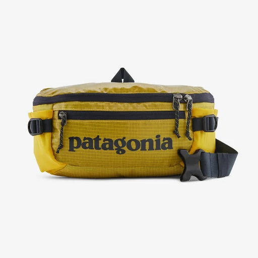 Bag For Luxury Lovers Patagonia Black Hole® Waist Pack 5L