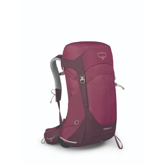 Scratch-Resistant And Luxury Sale Bags Women's Sirrus 36 Backpack
